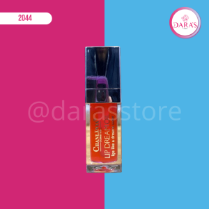BRILLO LABIAL CHANLANYA LIP DREAM OIL NO.CH9501